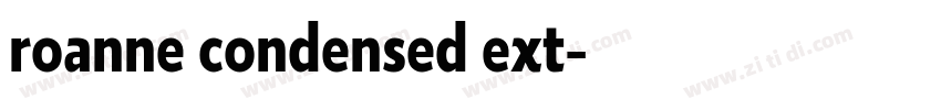 roanne condensed ext字体转换